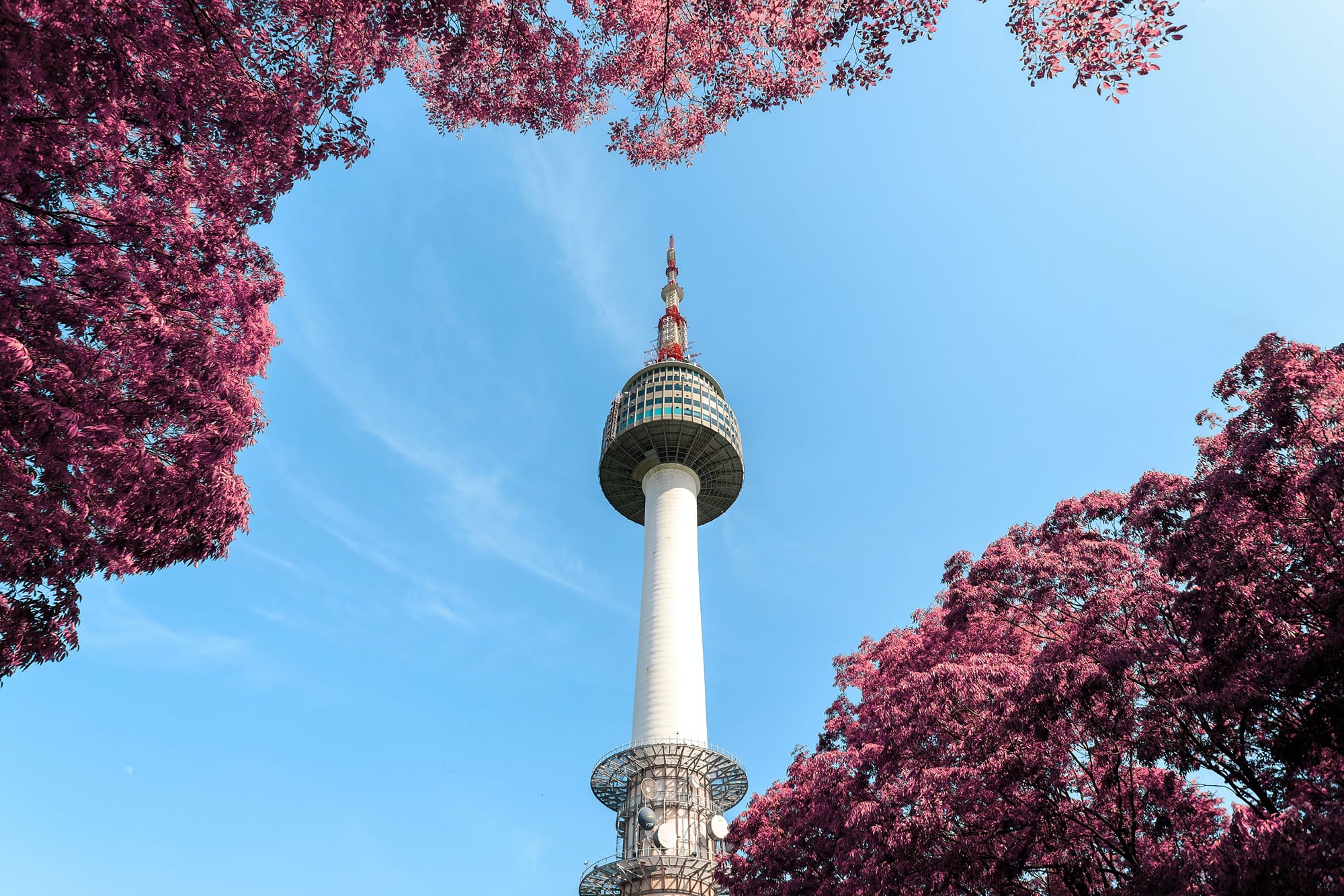 Get 33% off in South Korea - Cover Image