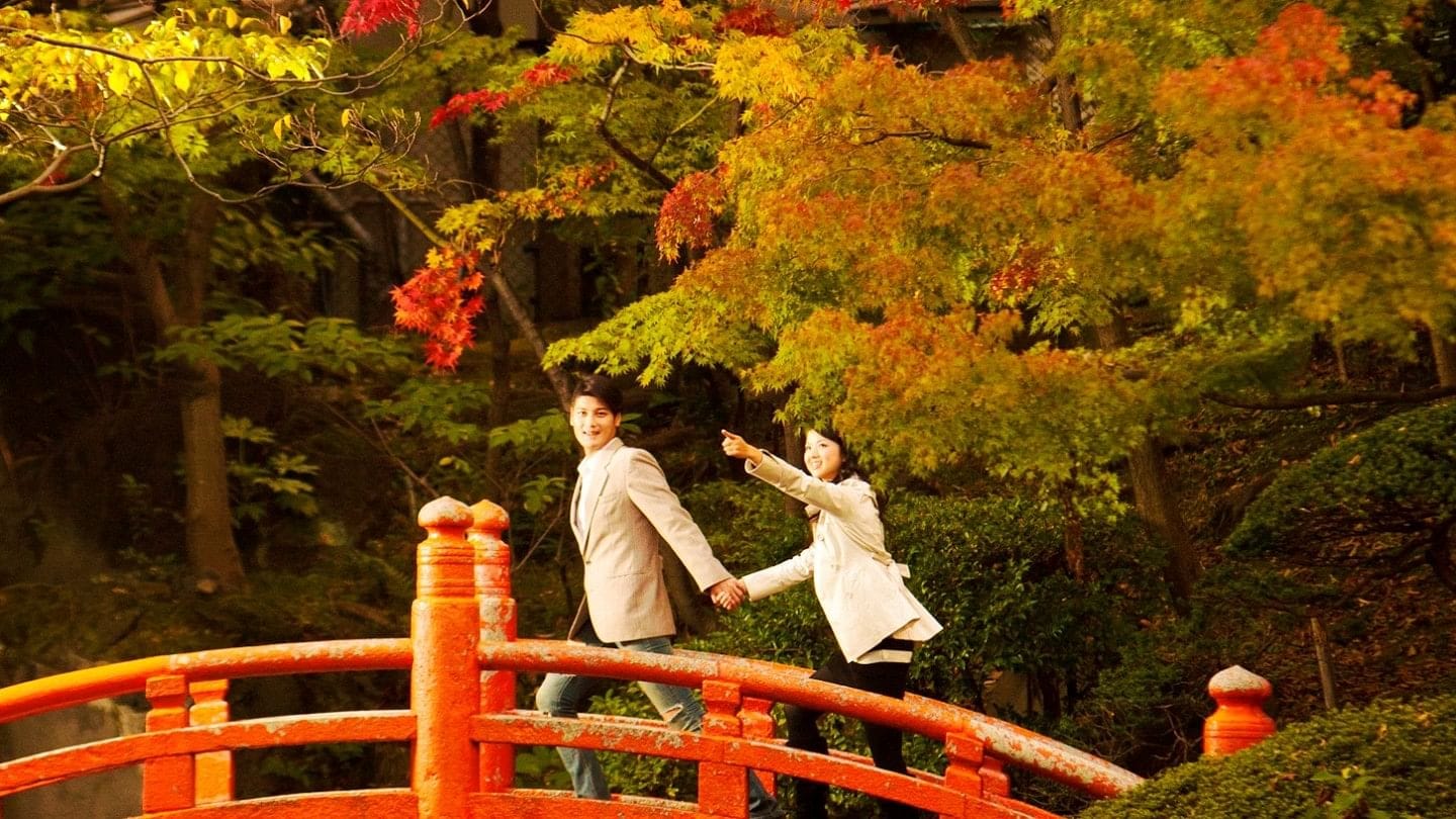 Hilton Autumn Sale: 25% off on rooms and dining - Cover Image