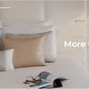 Accor Plus adds 20 status nights credit as a permanent benefit for members. - Cover Image