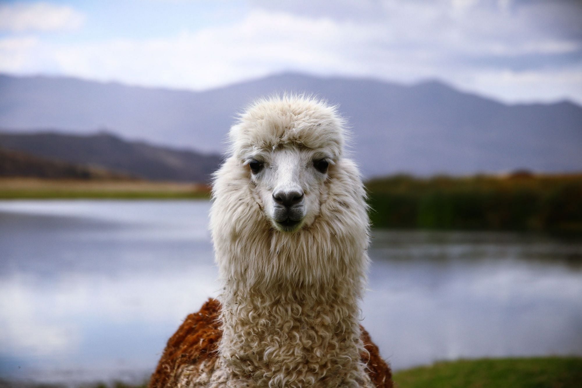 10% off on Suite reservations in South America - Cover Image