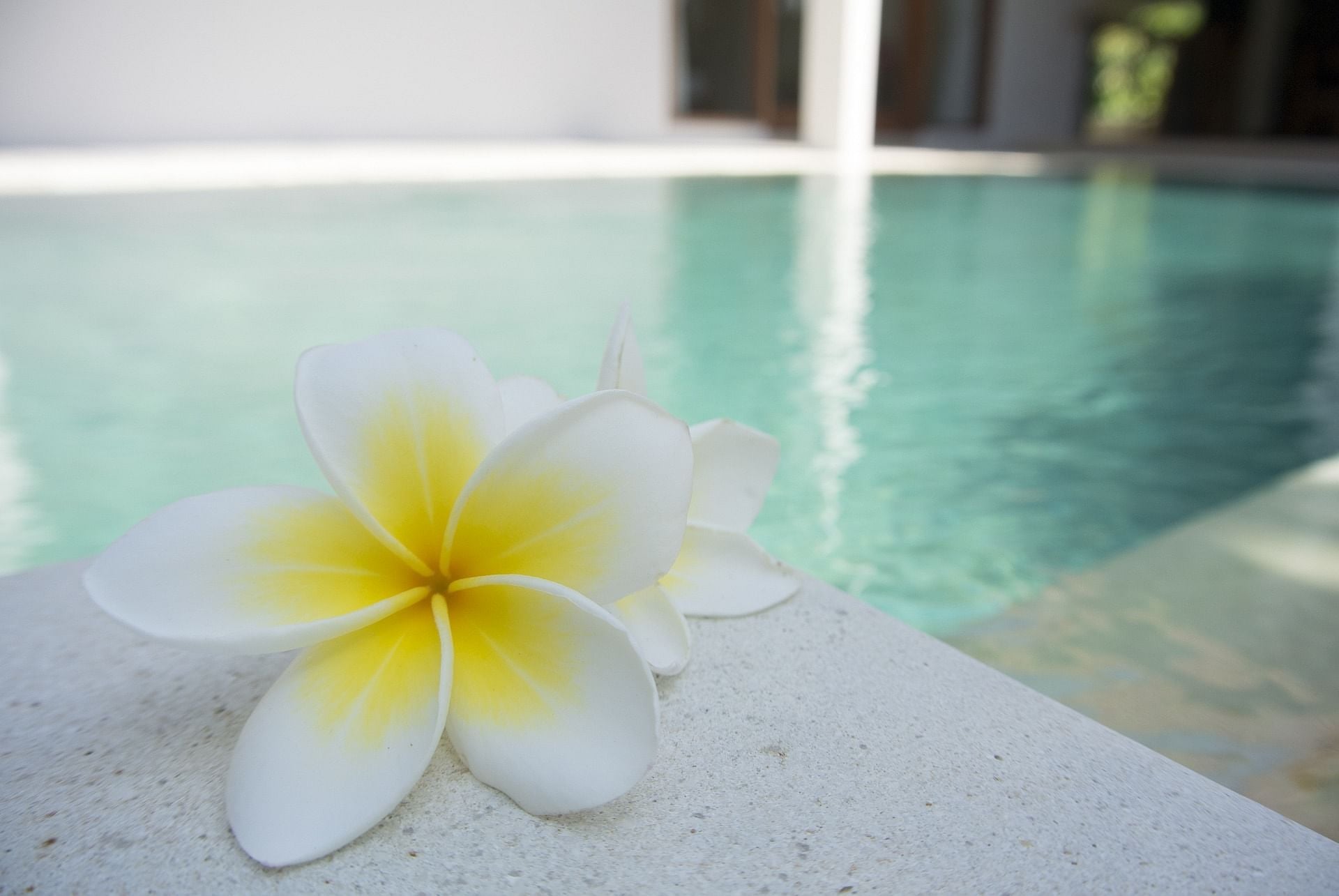 Breakfast, lunch, dinner, local beer bucket, return airport transfer at The Stones Hotel - Legian Bali - Cover Image