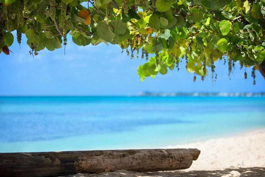 20% off at Kimpton Seafire Resort, Grand Cayman - Cover Image