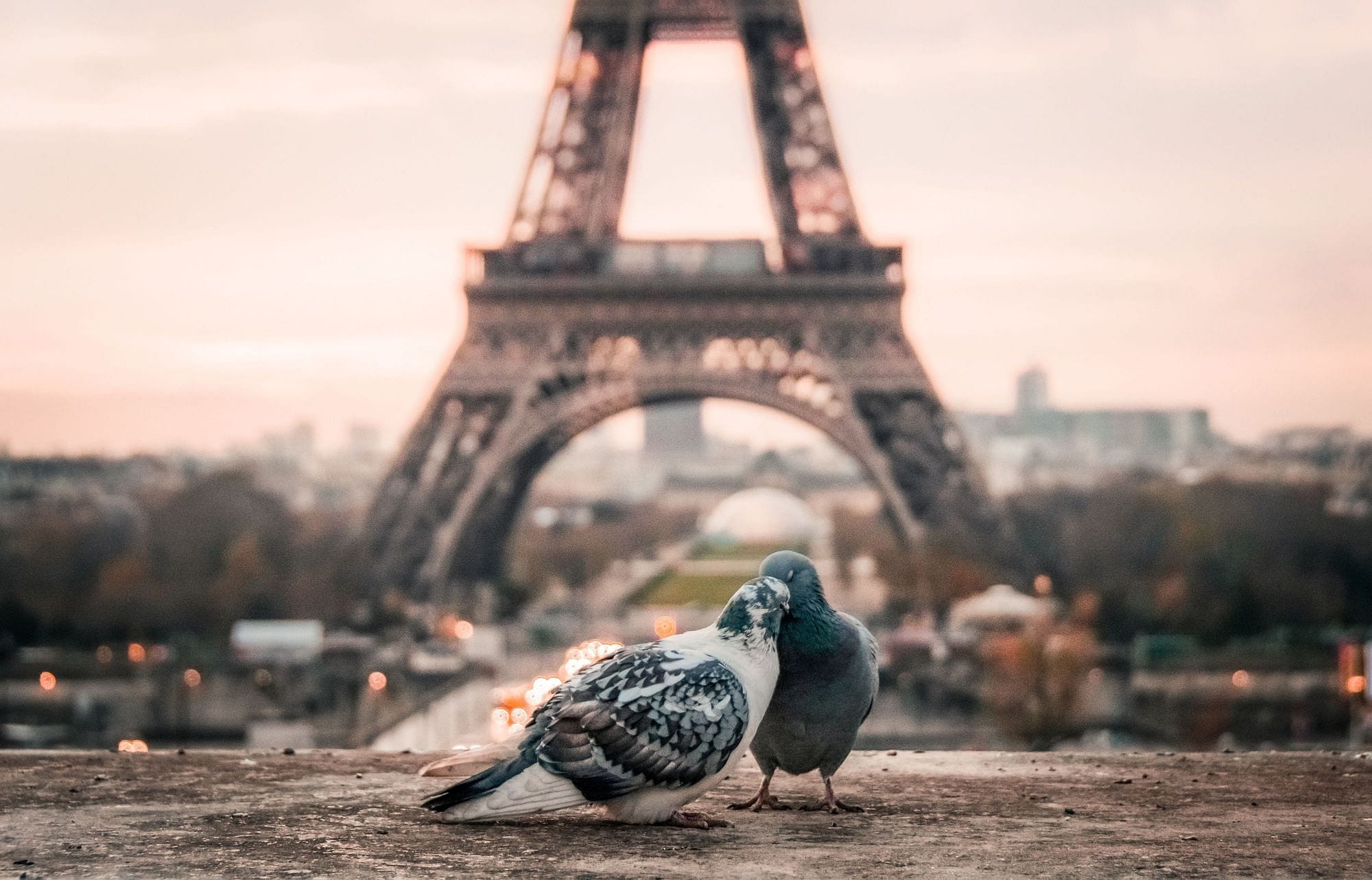 Paris: Up to 25% off plus breakfast for 2 - Cover Image