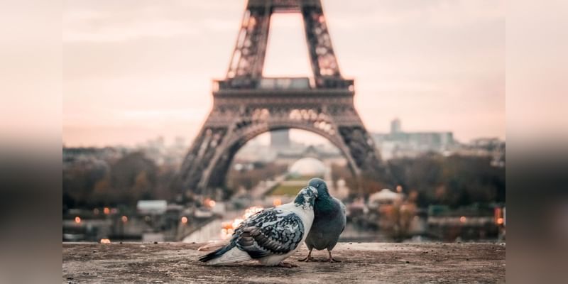 Paris: Up to 25% off plus breakfast for 2 - Cover Image