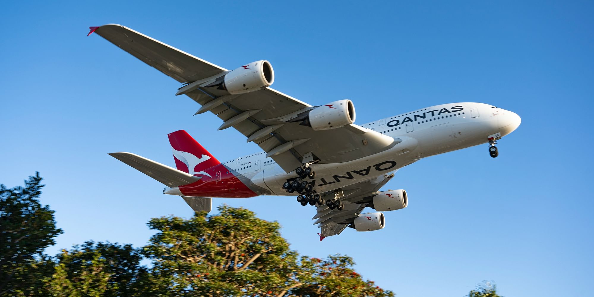 Earn 10,000 Qantas Points when you purchase an Accor Plus Business Explorer membership. - Cover Image