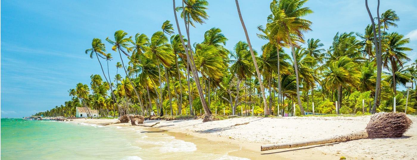 2x Reward Points: Brazil Northeast - Cover Image